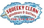 Squeeky Clean Windows and Gutters